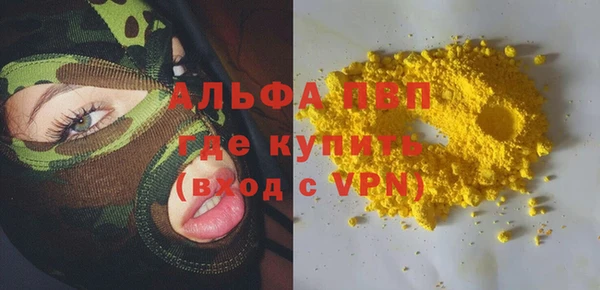 spice Богданович